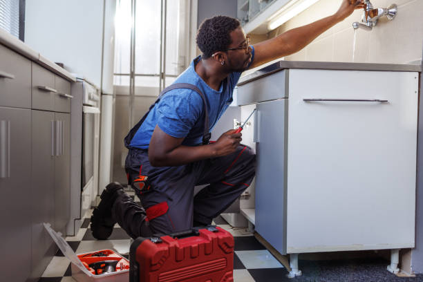 Best Garbage Disposal Repair and Installation  in Doctor Phillips, FL